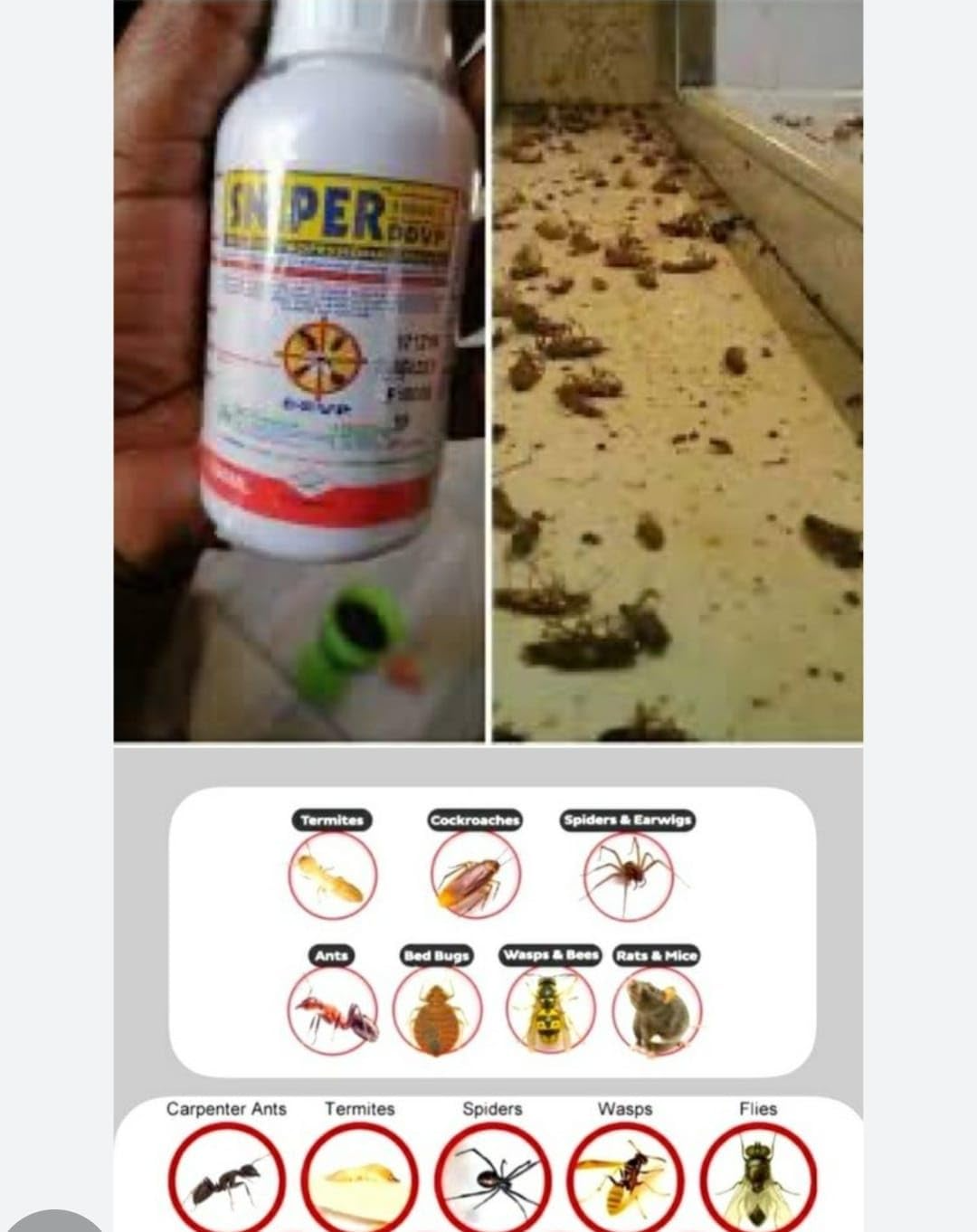 Sniper Roach Killer — Fast‑Acting Indoor & Outdoor Insect Spray — Effective vs Roaches, Flies, Spiders & Ants — 100 mL Bottle
